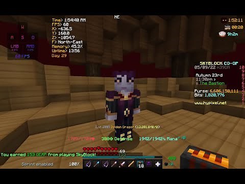Rank B Mage Hostage Quest Guide (Hypixel Skyblock)