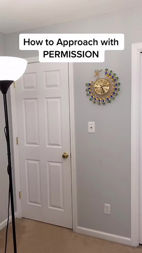 Understanding the Snow Approach for Dementia Care