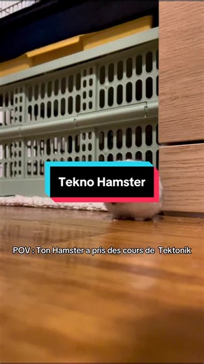 Hamster Danse Tectonique : Un Moment Drole !