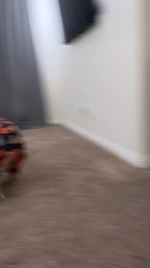 524K views · 51K reactions | Zoomies!! Tooth & Honey halloween jammies out now! Use code thepits10 to save  #halloween #zoomies #cute #dogs #pitbulls | Knight & Aston | Facebook