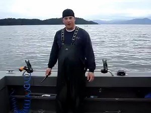 739K views · 7K reactions | Sera que o Parceiro manja de Limpar peixes amigo??? E olha o fio desta faca deve cortar ate vento rsrsrsrsr Curtam a pagina Pescadores De Plantao amigos www.facebook.com/pescadoresdeplantaooficial | Pescadores De Plantão | Facebook