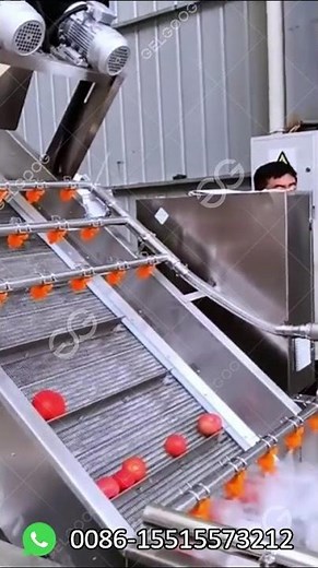 Small Scale Tomato Processing Machine for Sauce