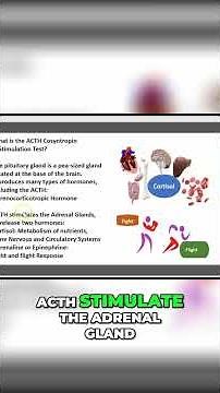 ACTH Stimulation Test: Procedure, Principle, and Purpose #shorts