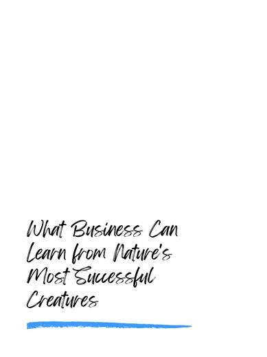 What Business Can Learn from Nature's Most Successful Creatures. #Business #Strategy #BusinessIdeas #Entrepreneur #BusinessOwner