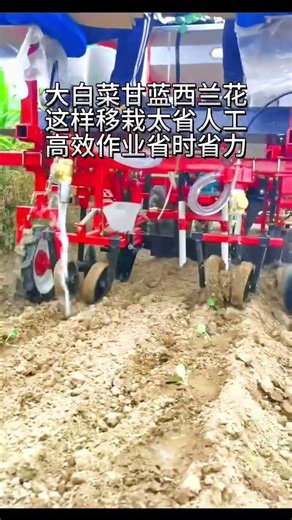 One Machine Replaces 30 Workers—Would You Believe It