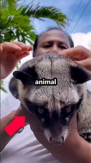 This Coffee is Made From... POOP?! ☕💩 #shorts