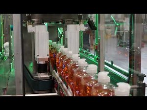 Hamrick Packaging Systems - 600D-S Drop Packer with 10' Extended Infeed