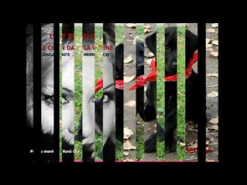 le chien dans la vitrine Hermes Line Renaud