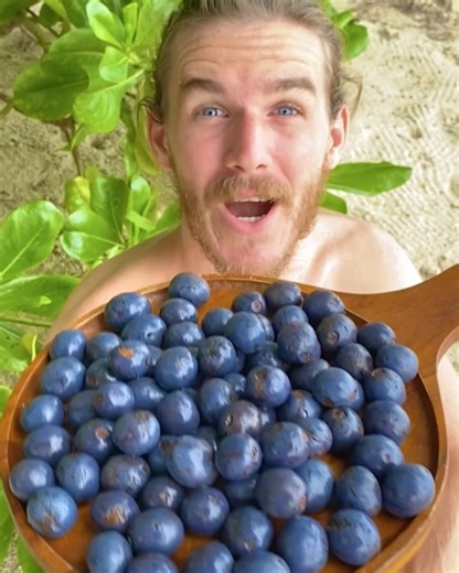 Simon & Tina | Fruit & Vegan Travel on Instagram: "TOP 12 Weirdest Fruits you have to try in Thailand 🤩💯 Save & Share this with someone who needs to see this! 1. Major Jenkins Palm Fruit 2. Maprang 3. Noni 4. Yellow Dragon Fruit 5. Duku 6. Rambutan 7. Durian 8. Sapodilla 9. Gac Fruit 10. Coconut Sprout 11. Makal 12. Screwpine Are you also a fruit lover? Come join us! Our mission is simple: For the past nine years, we’ve traveled the world in search of the finest fruits this plane