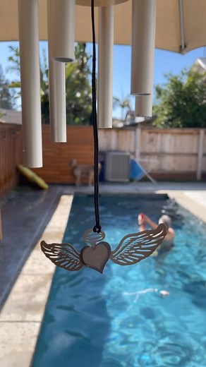 Our first pool o’clock without our Princess Zozo. ❤️‍🩹 She still smiled at us on Greg’s shoulder. | Two Golden Tails