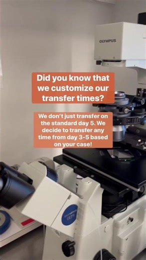 We customize our IVF transfer times