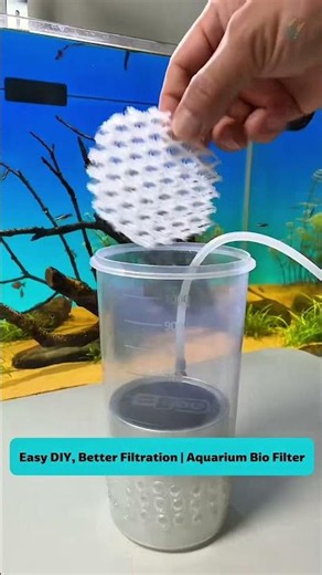 Cleaner Water, Healthier Fish | Bio Filter Setup #aquarium #tools