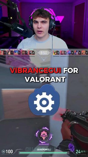 How to Use VibranceGUI for Valorant - Boost Your In-Game Colors