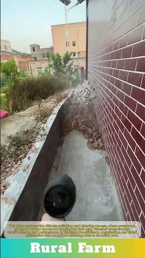 The Ultimate Satisfying Yard Cleaning Process
