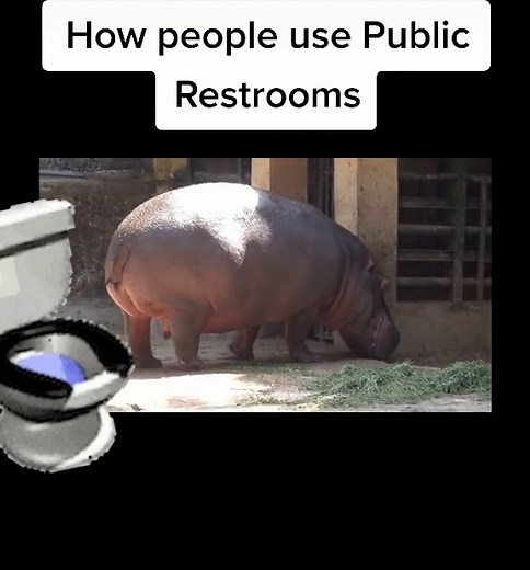 I cant Do #2 in a public restroom #laminarflow