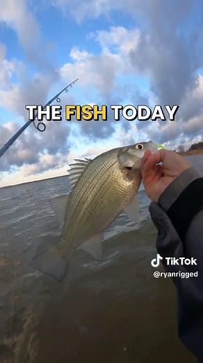 Finding the Best Fishing Spots