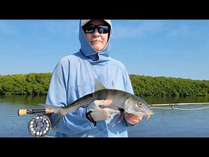 Spring time fly fishing for bonefish in Miami's Biscayne Bay