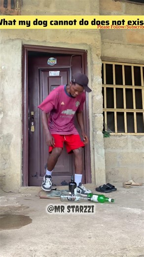 What my dog cannot do does not exist #funny #comedyforever #alwayslaughing #havealaugh