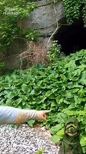 Encuentran una estructura imposible en cueva ☠️ #fblifestyle | Terror En La Oscuridad