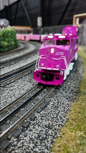 On Board For A Cure ES44AC 2024 custom run by E-Z Catch