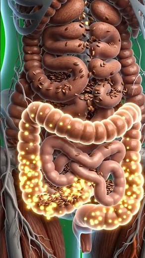 This Is Exactly What Flax Seeds Do To Your Body ( 3D Anatomy)