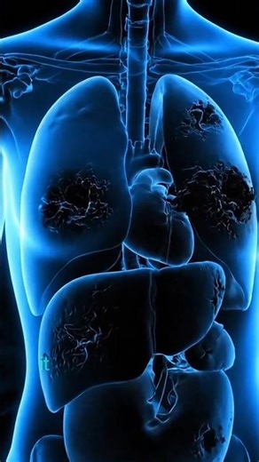 Just 80 Seconds… Cigarette Andar Kya Karti Hai 😱