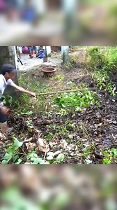70K views · 997 reactions | This old lady CRIED with joy when we Completely transformed her yard for FREE P2 #clean #cleaning #cleanup #cleaninghouse #cuttingdowntrees | Epic Cleanup | Facebook