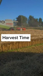 Harvest Time #crofting #scottishfarming #youngfarmer #scotland #harvest2022 #barley