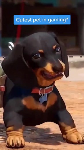 The growl at the end is too adorable #gaming #farcry #farcry6 #sausagedog #daschund #cute #letsplay #chorizo
