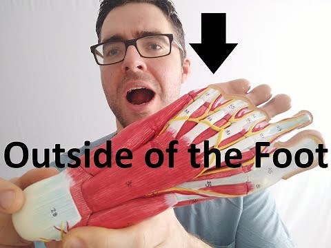 Side of the Foot & Lateral Foot Pain [Best Home Treatment 2022!]