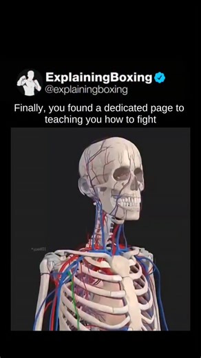 Explaining Boxing | Teaching you how to fight isn’t the goal — teaching you how to defend is. Real self-defense starts with awareness, not aggression. The... | Instagram