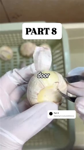 Luckyredditstorys on Instagram: "PART 8 if you want to see more like and follow #VoiceEffects #fypdongggggggg #fypシ #fyp #for redditstories explorepage redditmemes reddit explore cheat viralvideos tik_tok ebooktiktok edits storytime redditreadings cheater part textsories LIKE AND FOLLOW cheating,stories,readdit,story telling faceless marketing, Instagram Reels, digital products make money online"