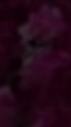 حسابات مقترحة