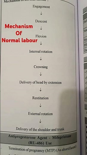 Mechanism of normal labour - labour - obg - Gynaecology