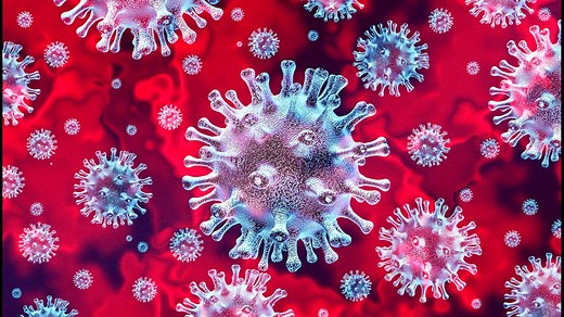 Why do viruses exist?