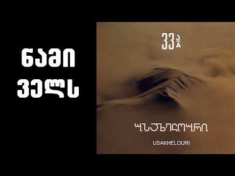 ნიაზ დიასამიძე & 33ა - ნამი ველს / Niaz Diasamidze & 33A - Nami Vels
