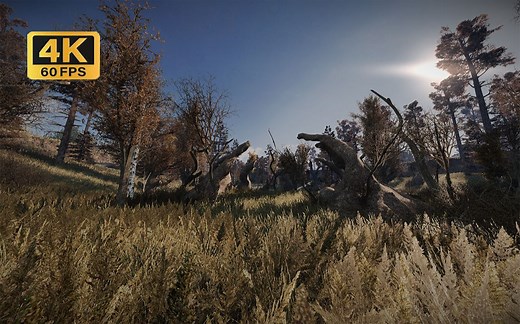 【4k/60fps】画质炸裂！这也许是最接近潜行者2画面的mod，expediton2.0 rtgi最高画质演示【附整合包下载】