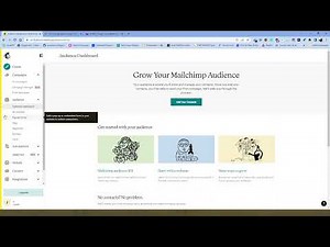 Re-importing email address into MailChimp