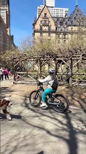 It's National Ride Your Bike to Work Day! 🚲☀️
