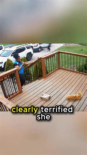 Delivery driver faces an unexpected situation during a delivery! | Prime Tales