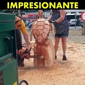 43K views · 45 reactions | Rocket Digital on Reels | Facebook