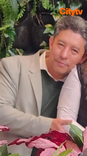 Canal Citytv | Apareció sin vida Neill Felipe Cubides, profesor de la Universidad Externado de Colombia y funcionario de la Procuraduría General de la... | Instagram