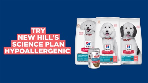 𝗡𝗘𝗪 Hill's Science Plan Hypoallergenic is tailor-made to help avoid common sensitivity triggers that can lead to skin and digestive discomfort. It has high-quality salmon, a single novel animal protein, and no grain. Restricting protein sources and using only select high-quality protein sources, like salmon, can help dogs avoid food sensitivities and enjoy life to the fullest. https://www.hillstransforminglives.co.za/itchy-pets/our-skincare-products/hills-science-plan-hypoallergenic-adult | H