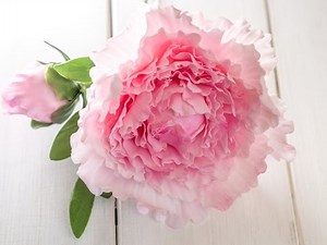 Anleitung einfache Pfingstrose aus Blütenpaste (5 Petal Technik) / Gumpaste Peony Tutorial**