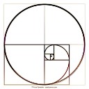 How can I reset my Passcode if my iPhone … - Apple Community