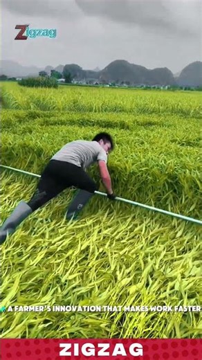 Genius Farming Tools for Laying Crops Before Harvest