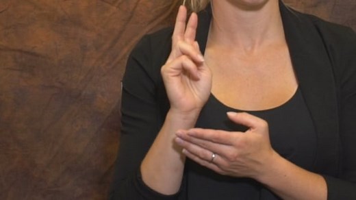 'A beautiful language': As world tunes in to COVID-19 updates, attention turns to ASL interpreters