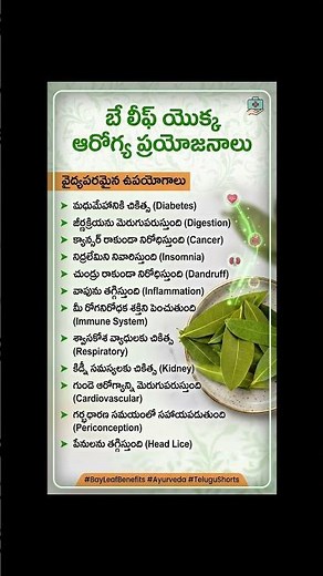 Bay Leaves: 10 Amazing Health Benefits You Should Know | Natural Health Tips