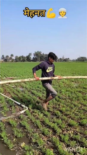 mehnat karte raho bhaiyo 👳💪#farmer #viralvideo #mehnat #viralshort #viralshorts #trending