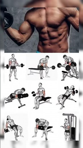 Biceps workout bigner biceps #gymworkout #motivation #fullbodyworkout #gym #trending #workout